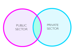 Public Sector - Private Sector